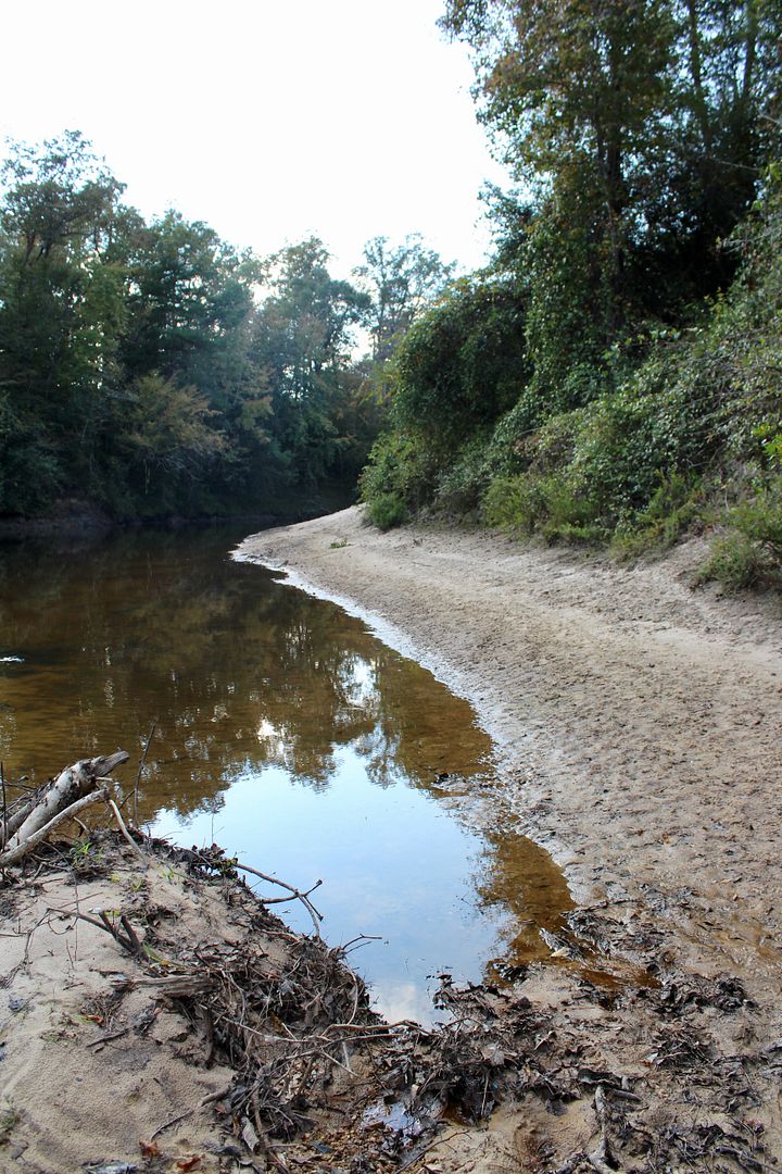 Winds of Destiny RVLife Hiking the Black Creek Trail, 11/05/2017